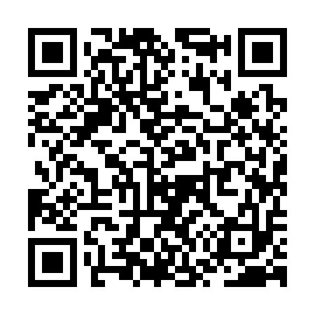 QR code for ZW9313