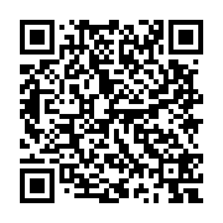 QR code for ZW9528