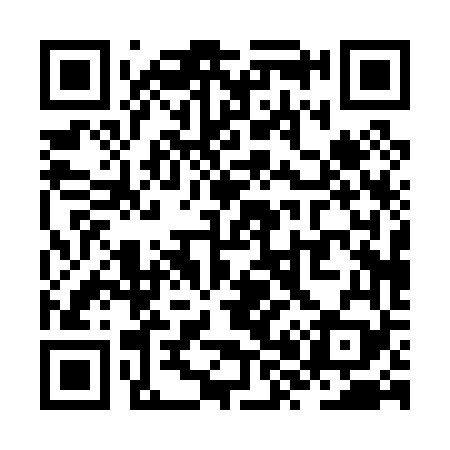 QR code for ZX0069