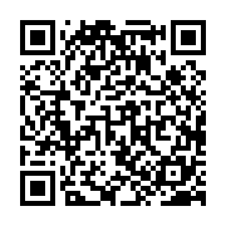 QR code for ZX0175