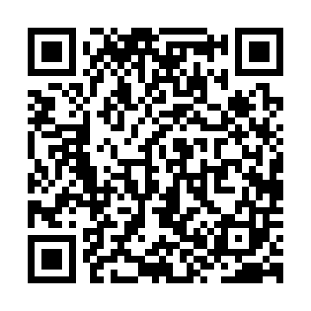 QR code for ZX0303