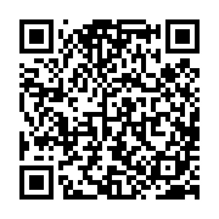 QR code for ZX0481