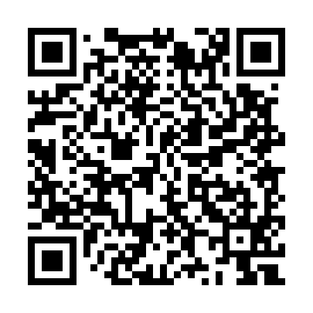 QR code for ZX0595
