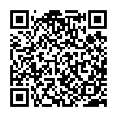 QR code for ZX0600