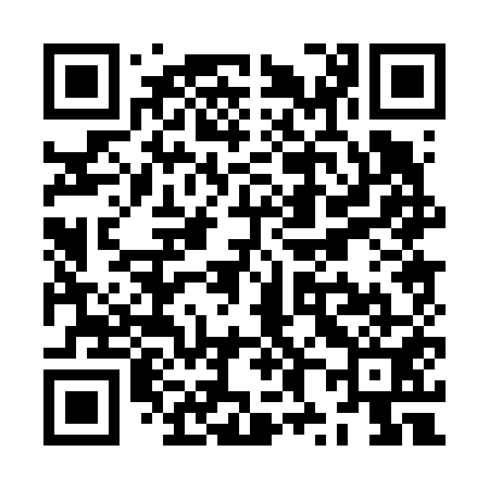 QR code for ZX0651