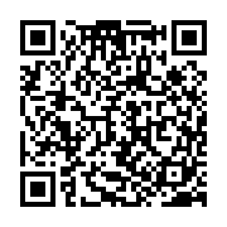 QR code for ZX1161