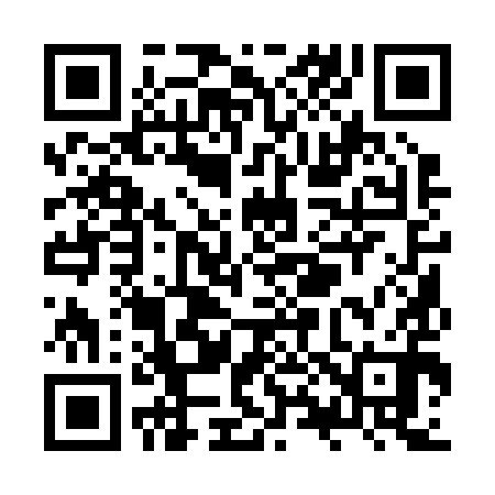 QR code for ZX1290