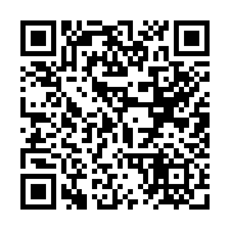 QR code for ZX1339