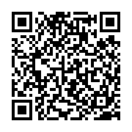 QR code for ZX1637