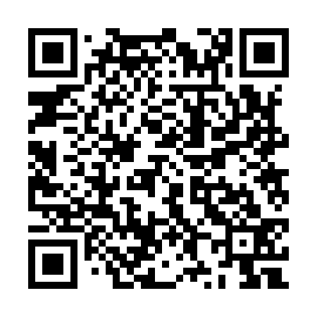 QR code for ZX2933