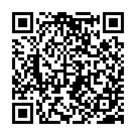 QR code for ZX3382