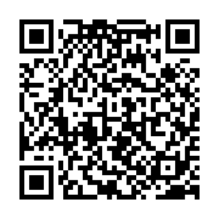 QR code for ZX3811