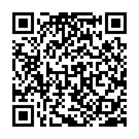 QR code for ZX4339