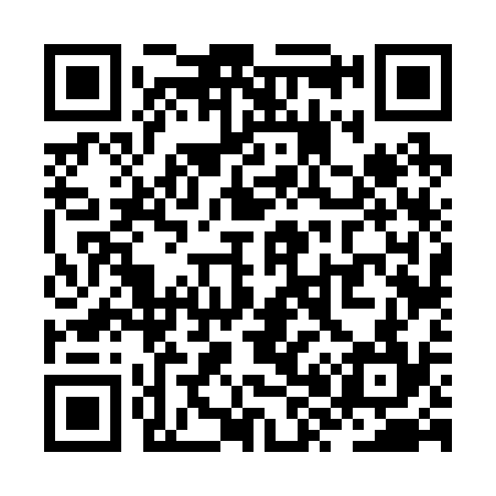 QR code for ZX6234