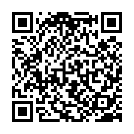 QR code for ZX6578