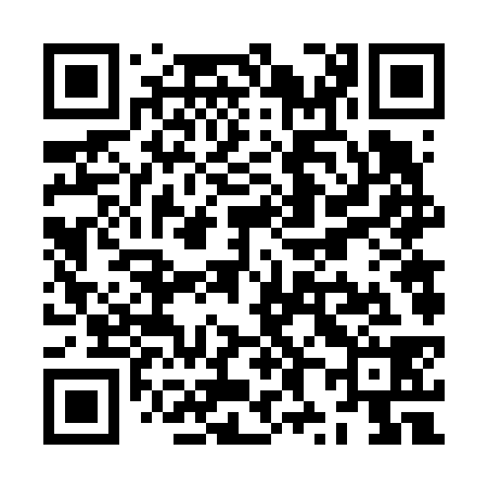 QR code for ZX6638