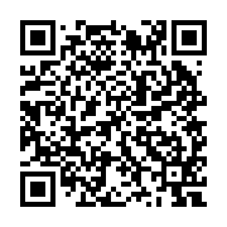 QR code for ZX7295