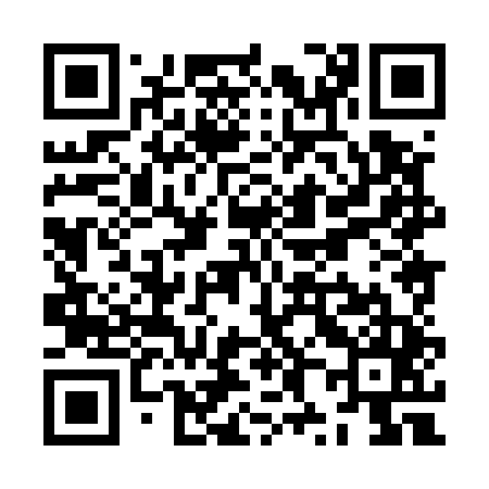 QR code for ZX8545