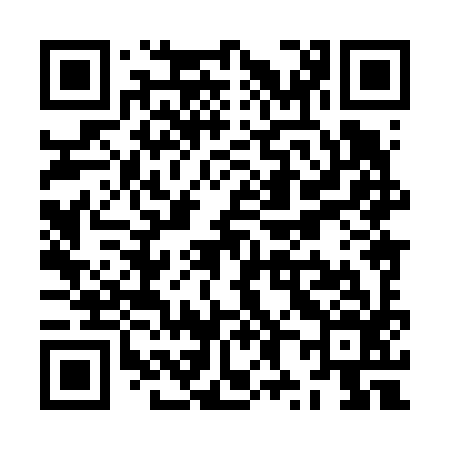 QR code for ZX8696