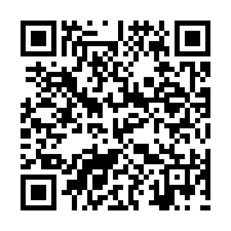 QR code for ZX9395