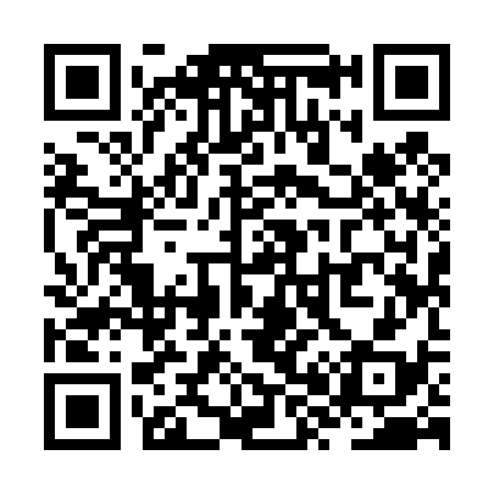 QR code for ZX9438