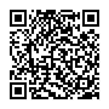 QR code for ZX9531