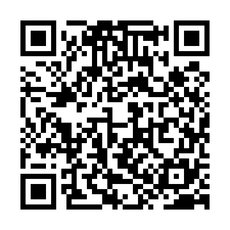 QR code for ZX9575