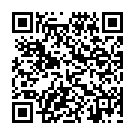 QR code for ZX9602