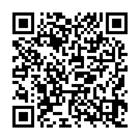 QR code for ZX9933