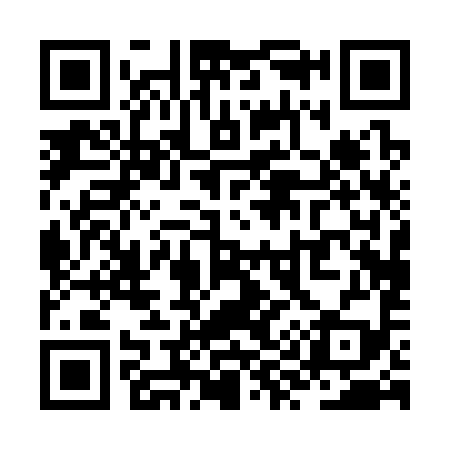 QR code for ZY0399