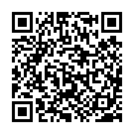 QR code for ZY0691
