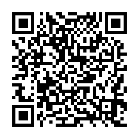 QR code for ZY0951