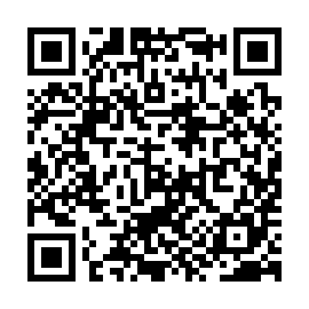 QR code for ZY1385