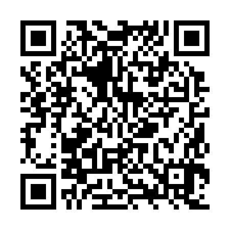 QR code for ZY1387