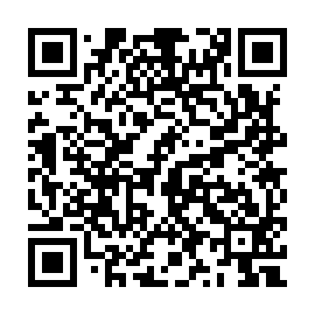 QR code for ZY3993