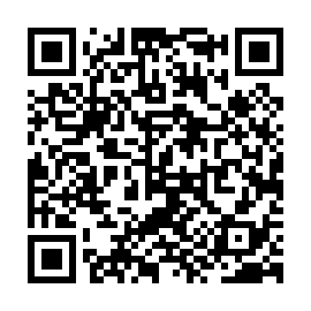 QR code for ZY4038