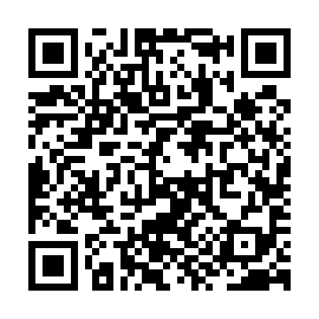 QR code for ZY6599