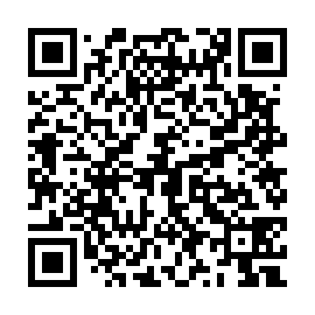 QR code for ZY7538