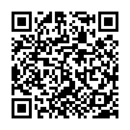 QR code for ZY8538