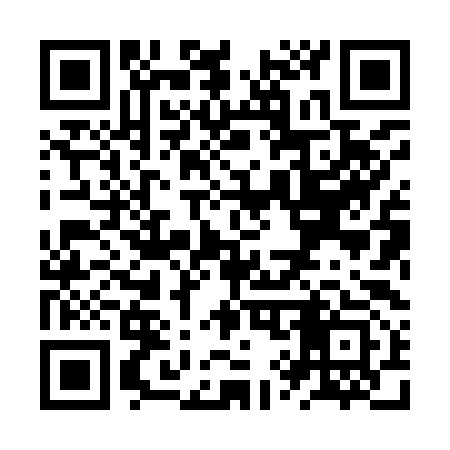 QR code for ZY8993
