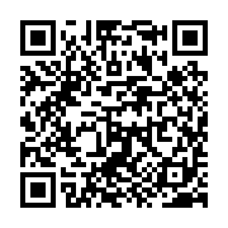 QR code for ZY9291