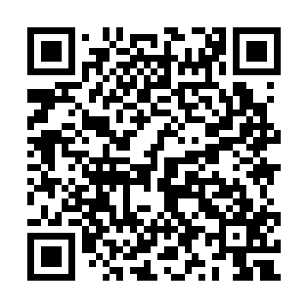 QR code for ZY9317