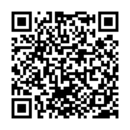 QR code for ZY9500