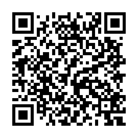 QR code for ZY9509