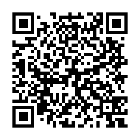 QR code for ZY9539
