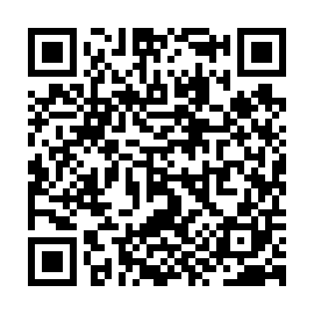 QR code for ZY9600