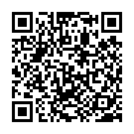 QR code for ZY9628