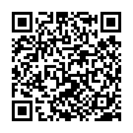 QR code for ZY9631