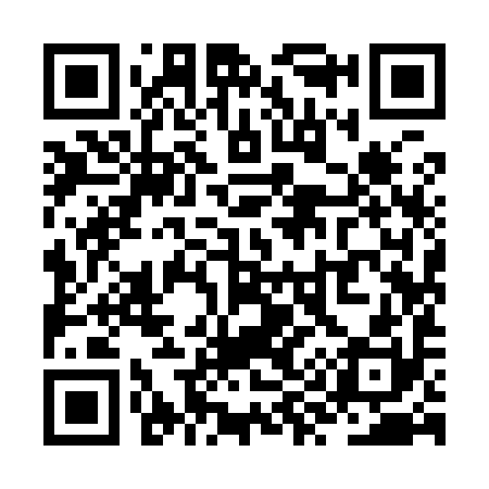 QR code for ZY9990
