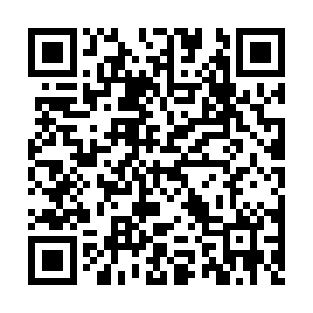 QR code for ZZ0000